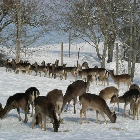 Adler 3* Bannholz