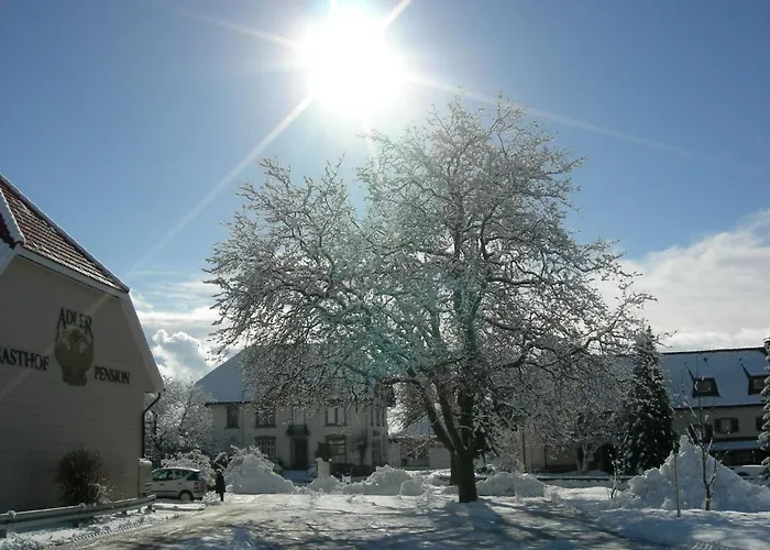 بيت ضيافة Adler