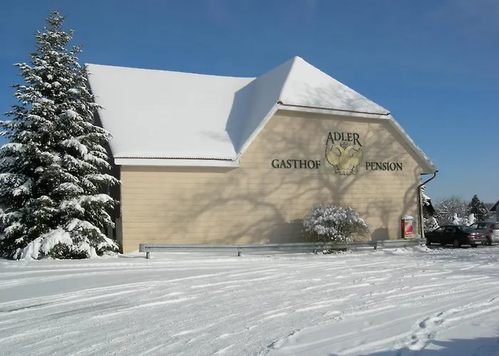 ゲストハウス Adler 3*